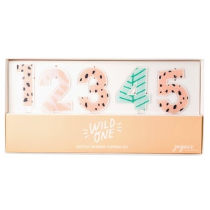 Wild One Acrylic Number Set