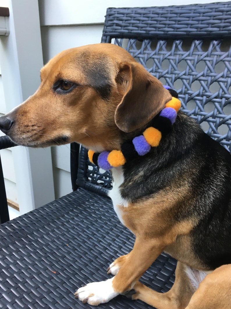 Cat Pom Pom Pom Pom Collar Pom Pom pet collar Halloween collar,Holiday pet collar dog collar Pom Pom Halloween Pet Collar Dog Pom Pom