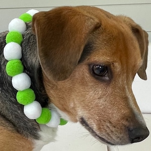 Dog Pompom collar