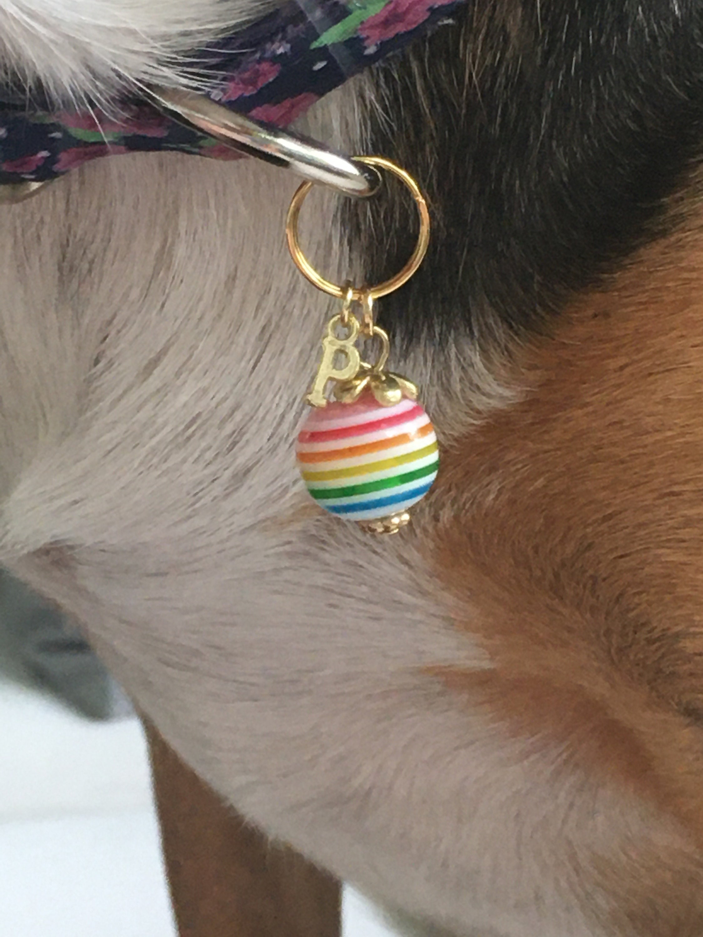 Rainbow Stripe Dog Collar Charm Rainbow Charm Pet Charm Pet Etsy