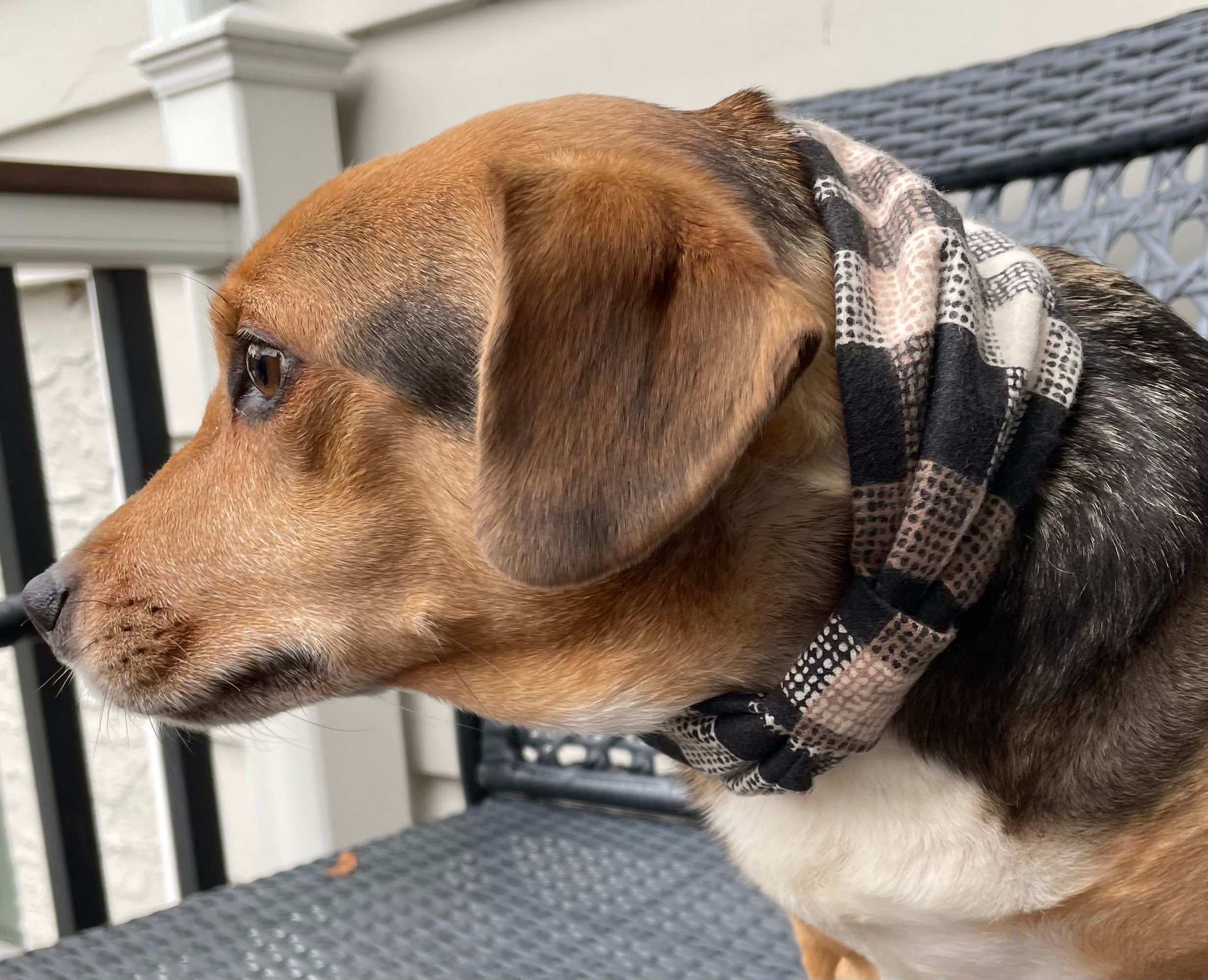 Matching Dog Infinity Scarf Dog Infinity Scarf Pet Infinity Etsy