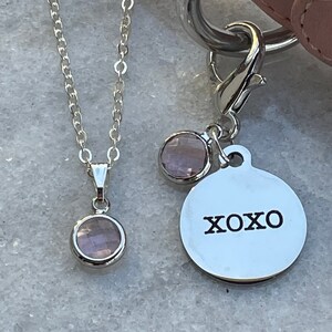 XO charm Matching pet & owner charm set, matching owner collar charm, pet lover gift, dog collar charm, pet collar charm, matching pet set