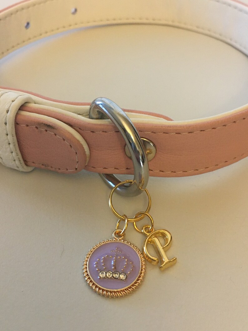 Personalized pet charm personalized dog charm personalized Etsy