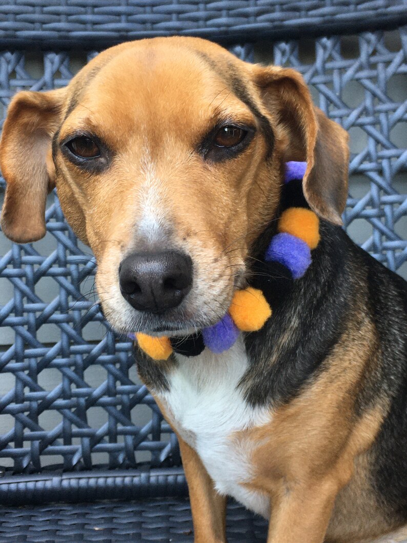 Cat Pom Pom Pom Pom Collar Pom Pom pet collar Halloween collar,Holiday pet collar dog collar Pom Pom Halloween Pet Collar Dog Pom Pom