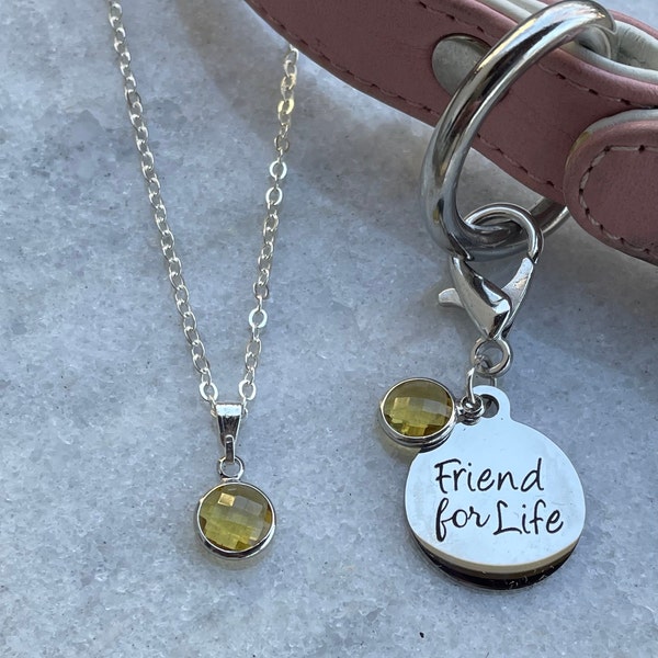 Dog Collar Matching Bracelet Etsy