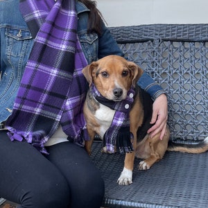 Dog and Owner Matching Socks Etsy