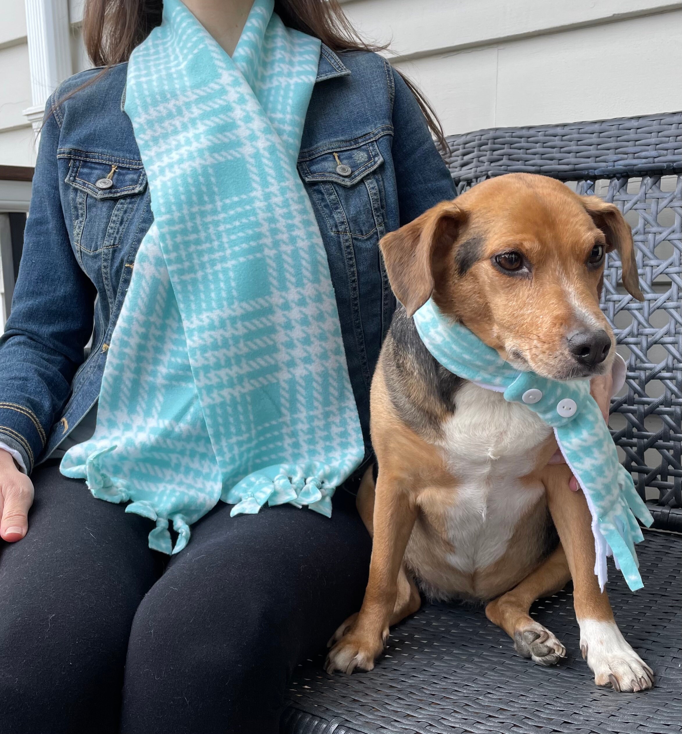 Matching dog top and owner scarf