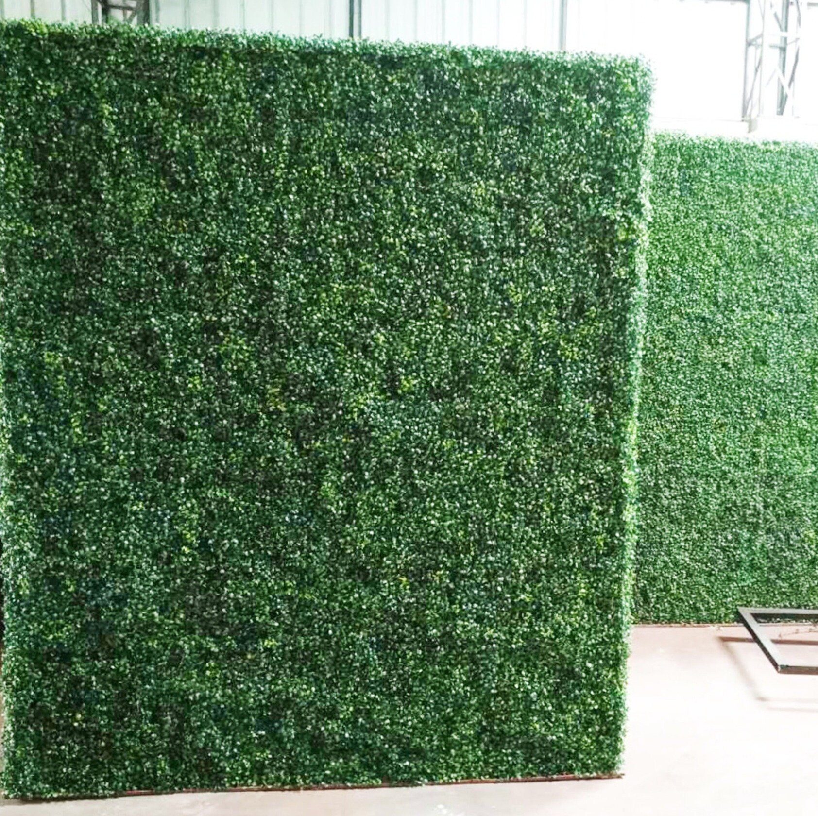 Backdrop Grass Wall ubicaciondepersonas.cdmx.gob.mx