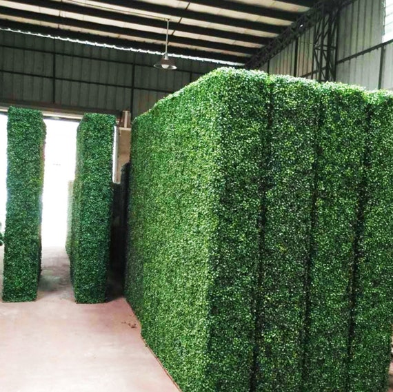 Wall grass sale