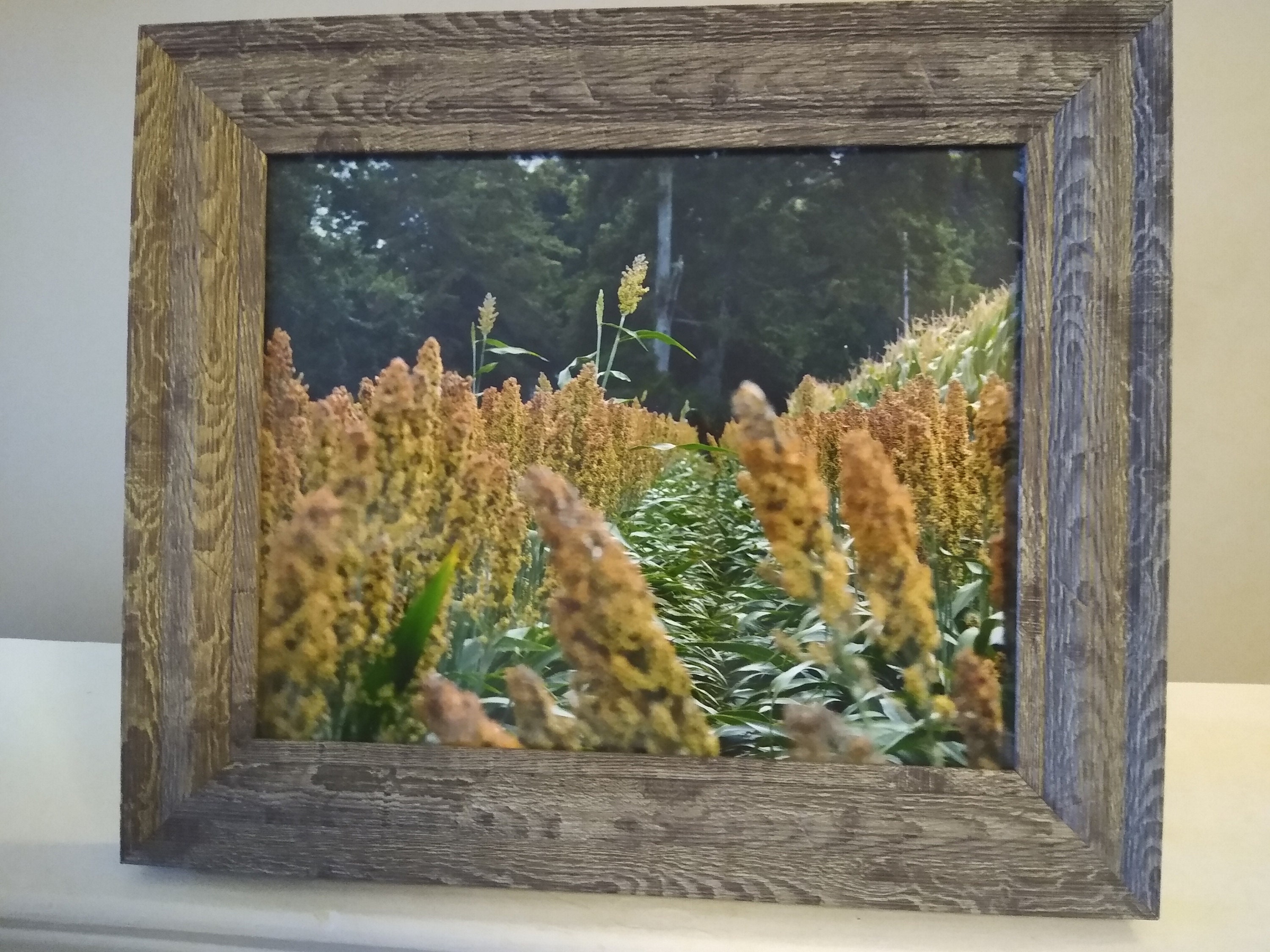 Rustic framed original photographs with views of landscapes Etsy