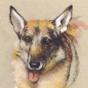 May include: A pastel drawing of a German Shepherd dog with brown and black fur. The dog is looking directly at the viewer with its tongue sticking out. The dog's fur is drawn with soft, blended strokes.