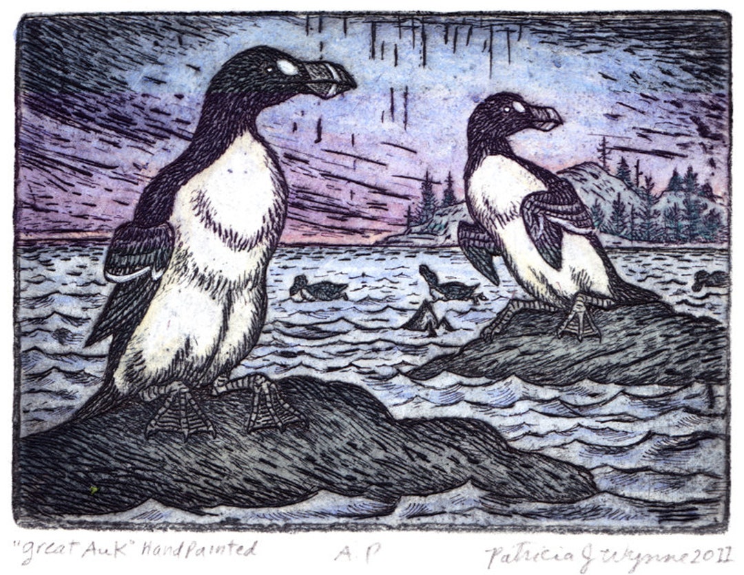 Great Auk Hand Painted Etching Etsy Denmark