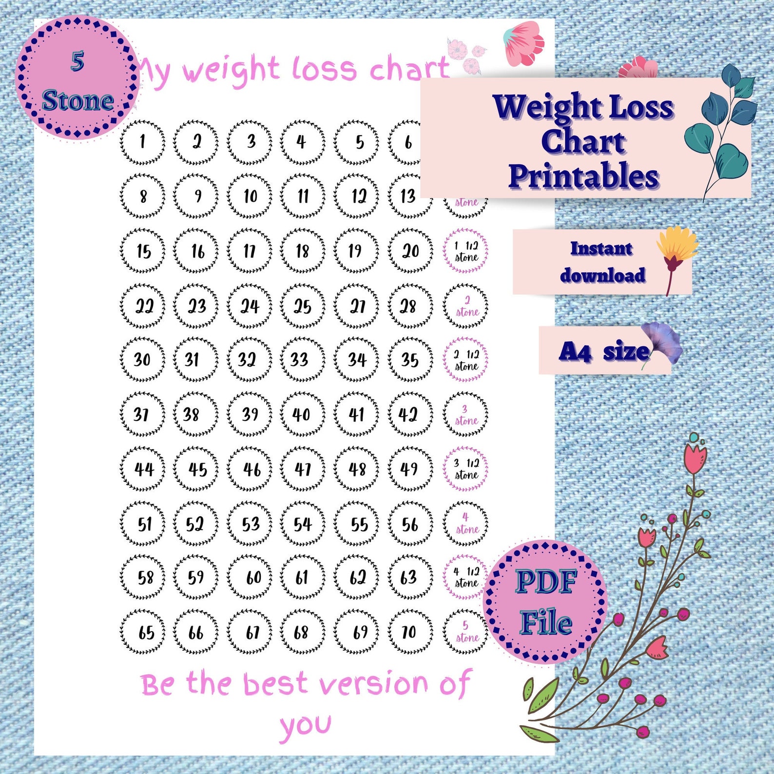 5 Stone Weight Loss Chart PDF Slimming world Tracker Etsy