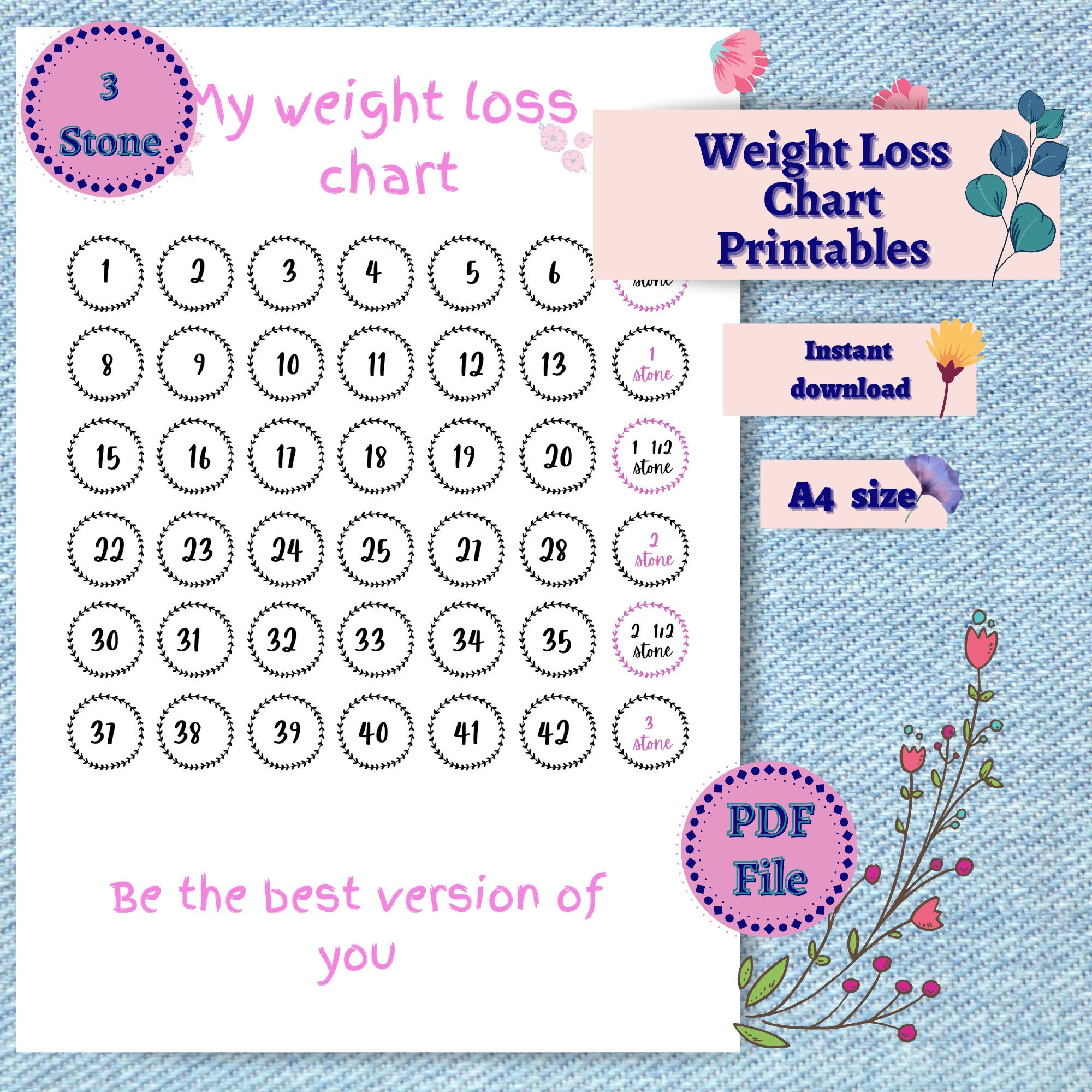 3 Stones Weight Loss Chart PDF Slimming world Tracker Etsy