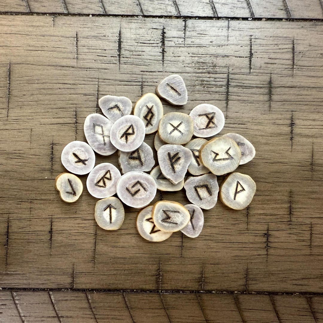 Elder Futhark Antler Runes, Handmade Divination Tools, Norse, Viking ...