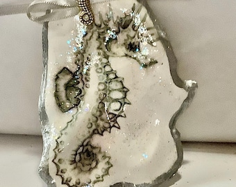 Concha de ostra de caballito de mar plateado