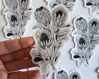 Australia Floral Sticker - Protea bunch die cut vinyl sticker