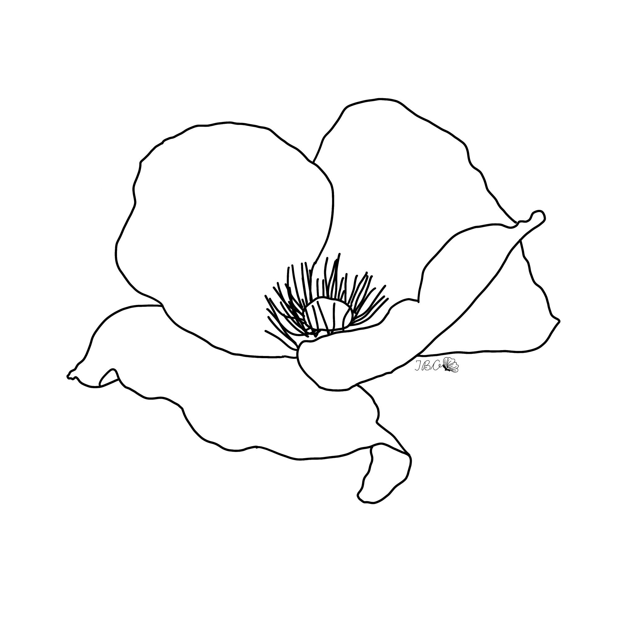 Poppy August Birth Flower Sticker Etsy