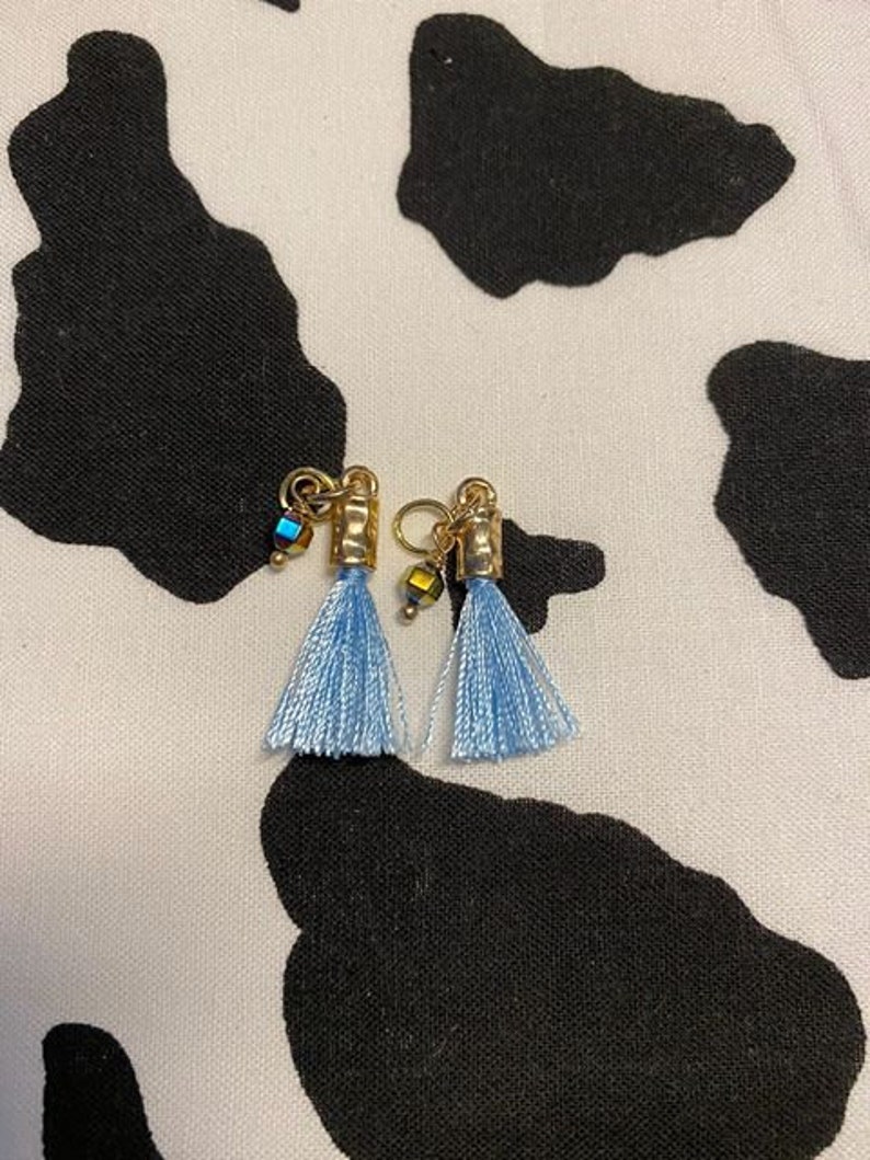 Baby Blue Tassel Clip on Hook Earring Lesbian Jewelry