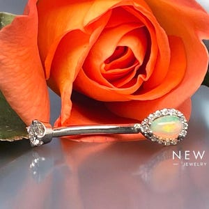 May include: A silver body piercing with a clear opal gemstone and a small diamond cluster on each end. The piercing is resting on a bright orange rose.