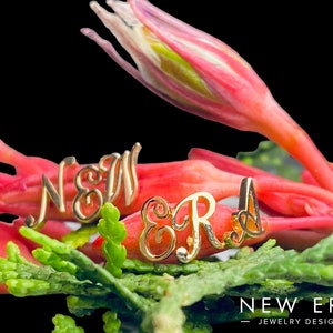 Pode incluir: Design de joias 'NEW ERA' em tom dourado com letras cursivas. As letras estão dispostas em um grupo e são colocadas sobre um fundo de folhagem verde e botões de flores rosa.