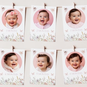 Fairy First Year Photo Banner Fairy First Year Milestone Photo Cards Fairy Photo Banner Fairy 1st Bday Photo Banner Fairy Monthly Photo R3