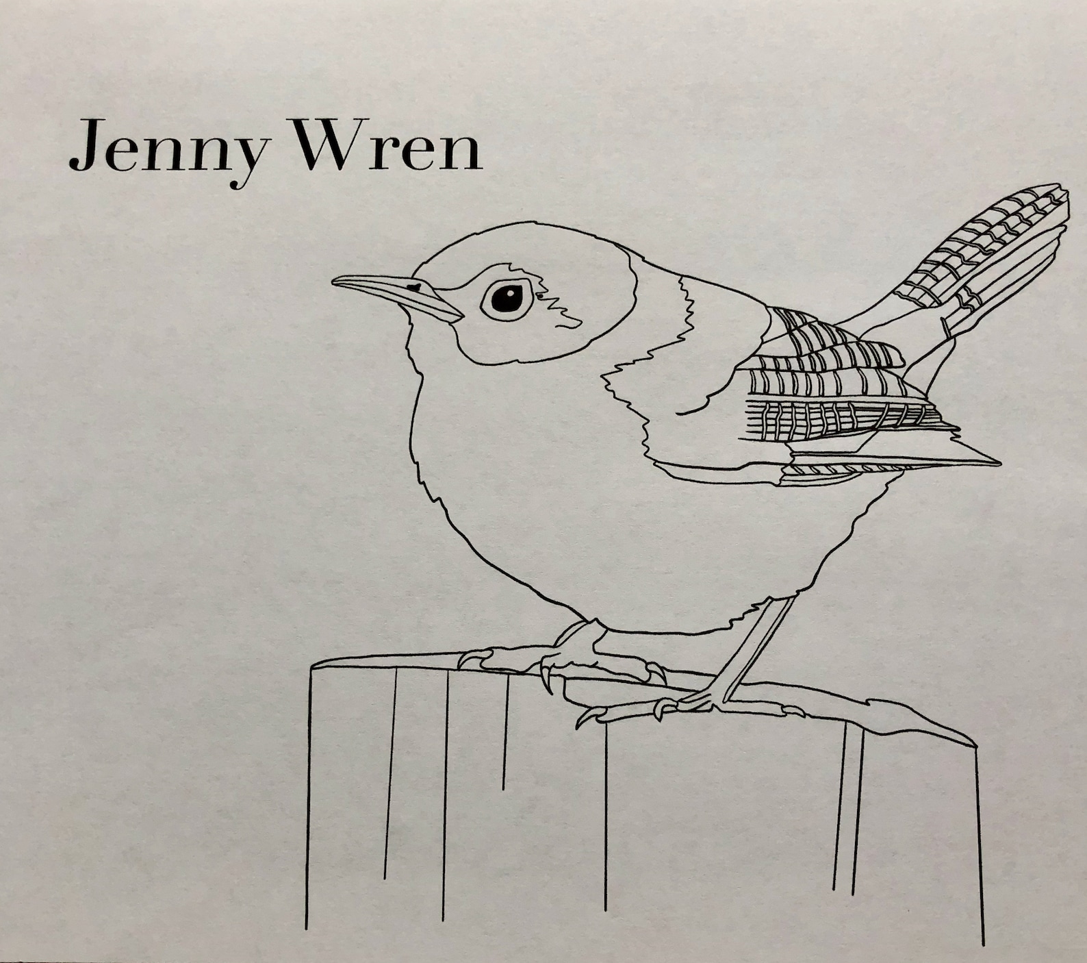 Burgess Bird Book Coloring Pages Chapters 1-12 - Etsy