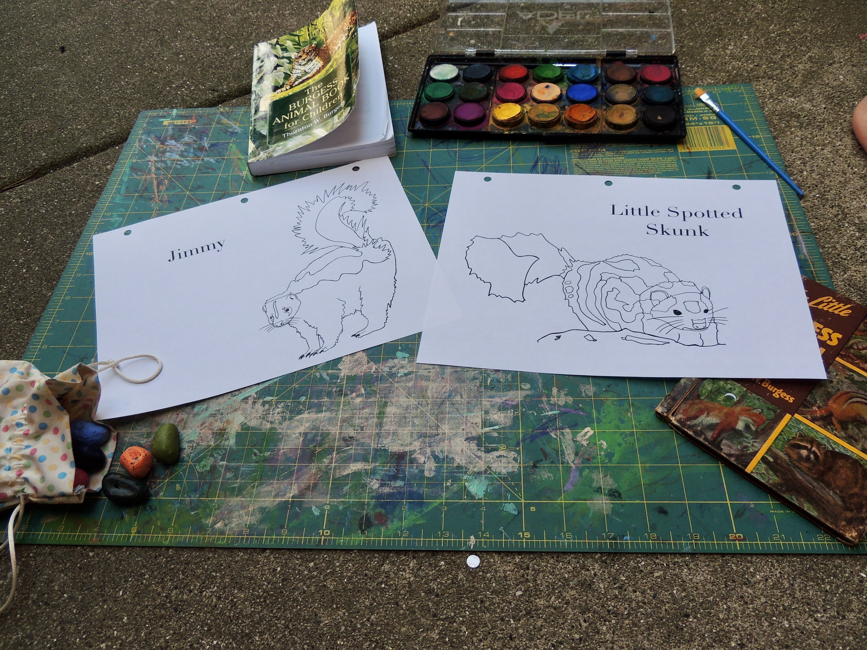 Burgess Animal Book for Children Coloring Pages Chapters 1324 Etsy