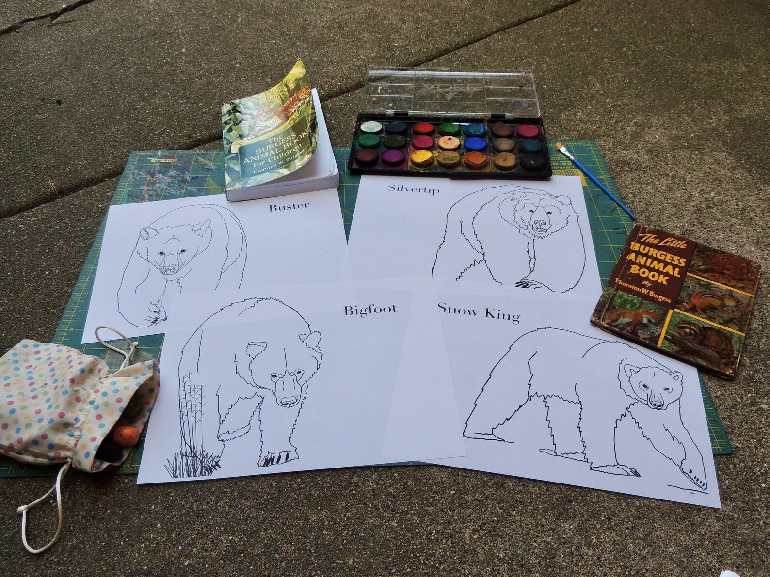Burgess Animal Book for Children Coloring Pages Chapters 2536 Etsy