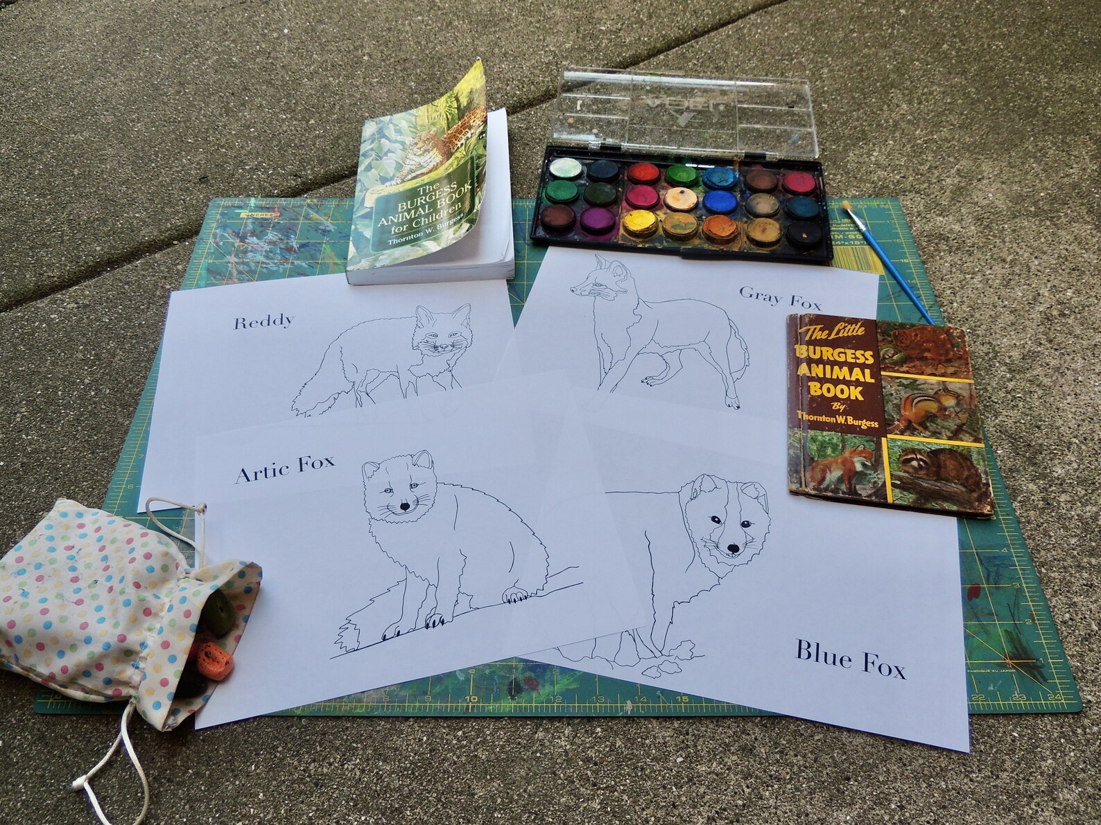 Burgess Animal Book for Children Coloring Pages Chapters 2536 Etsy