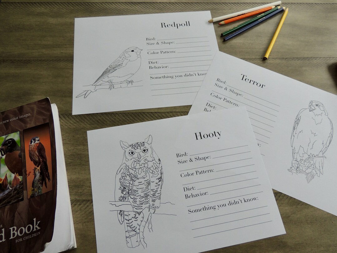Burgess Bird Book Coloring Pages Ch 37-45 - Etsy