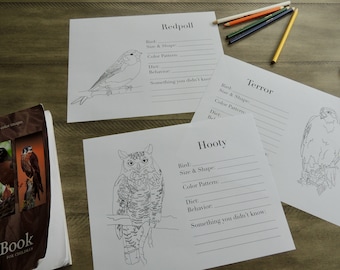Burgess Bird Book da colorare pagine cap 37-45