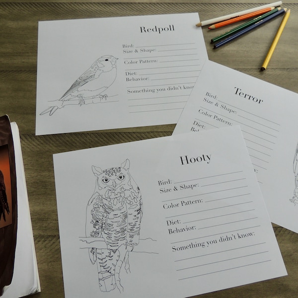 Burgess Bird Book Coloring Pages Ch 37-45