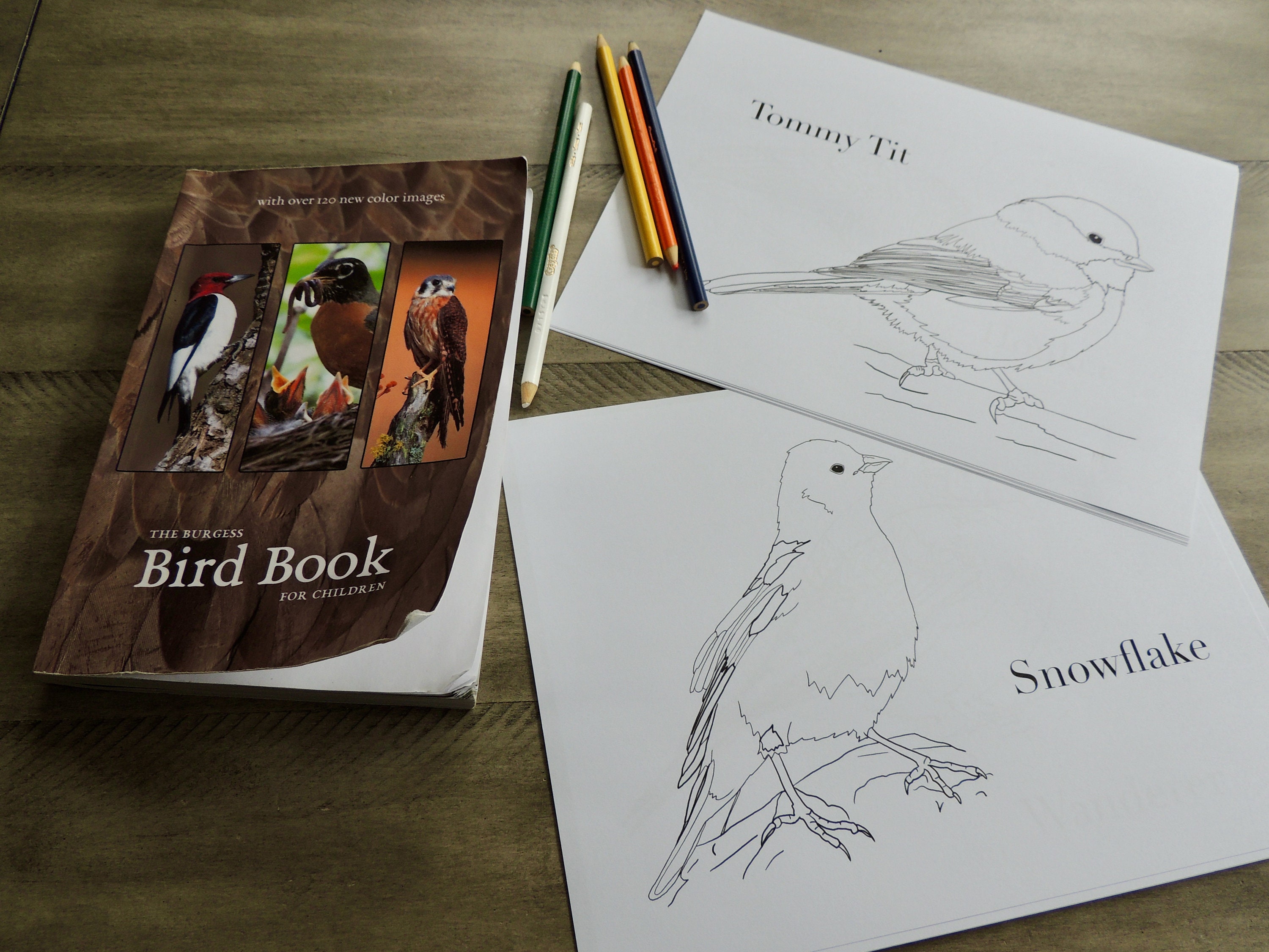 The Burgess Bird Coloring Pages Coloring Pages Ch 25 to 45 2 of 2