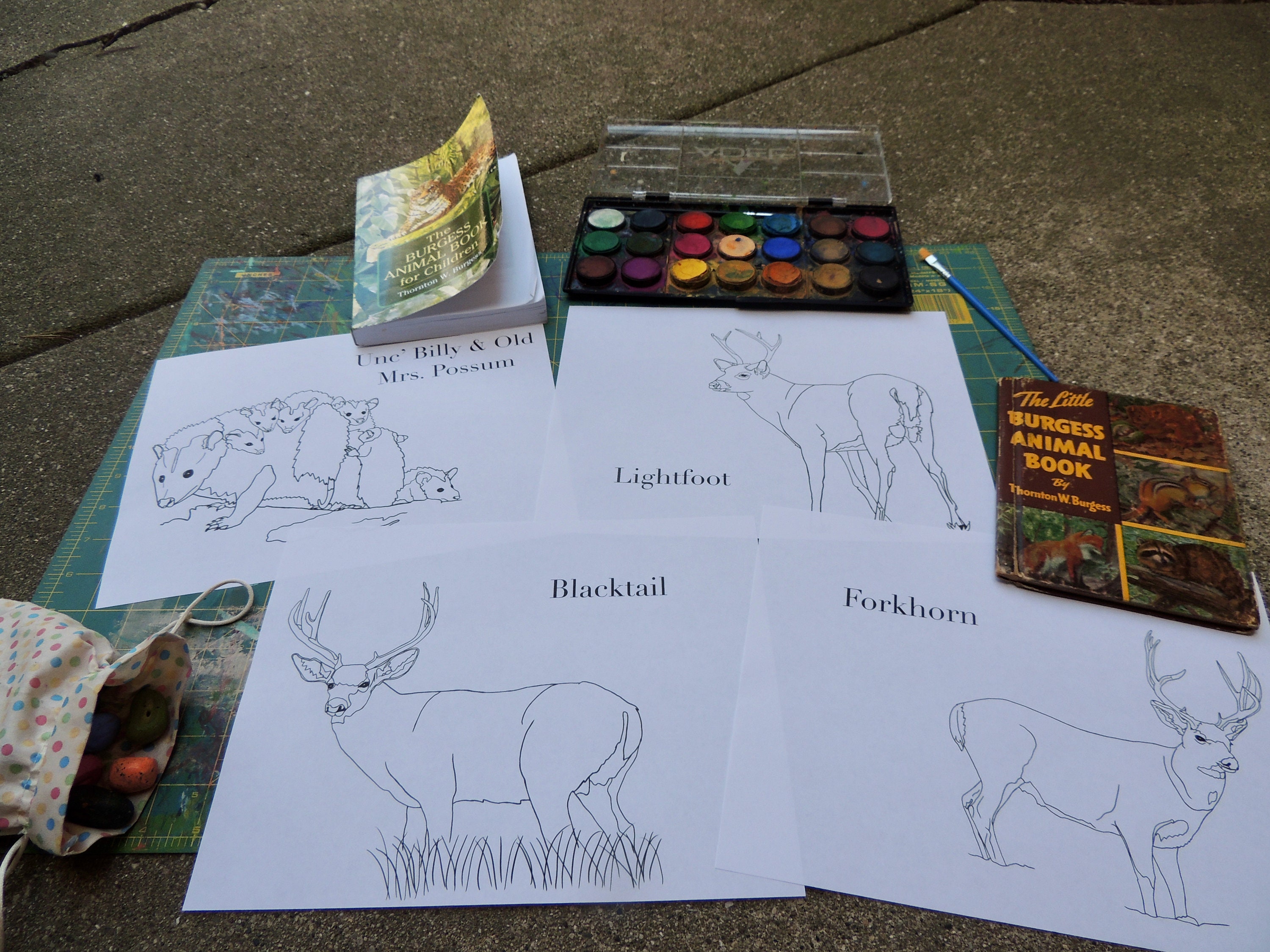 Burgess Animal Book for Children Coloring Pages Chapters 2536 Etsy