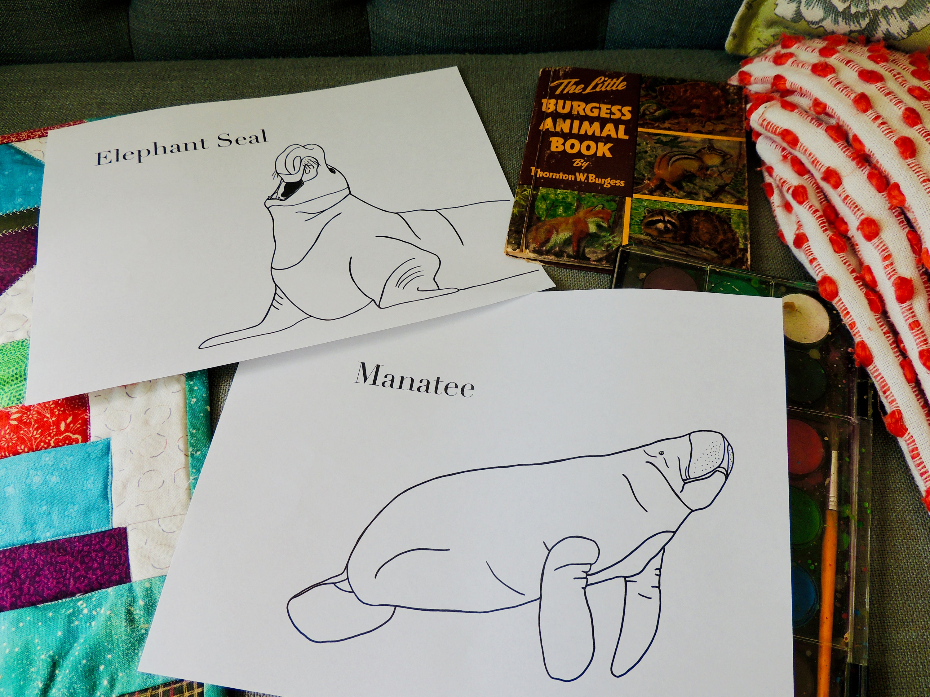 Burgess Animal Book for Children Coloring Pages Chapters 3740 Etsy