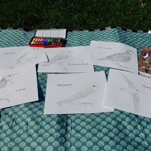 Burgess Bird Book Coloring Pages Chapters 13-24