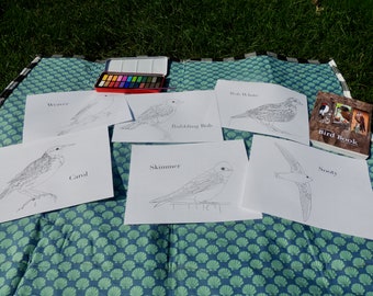 Burgess Bird Book Disegni da colorare, capitoli 13-24