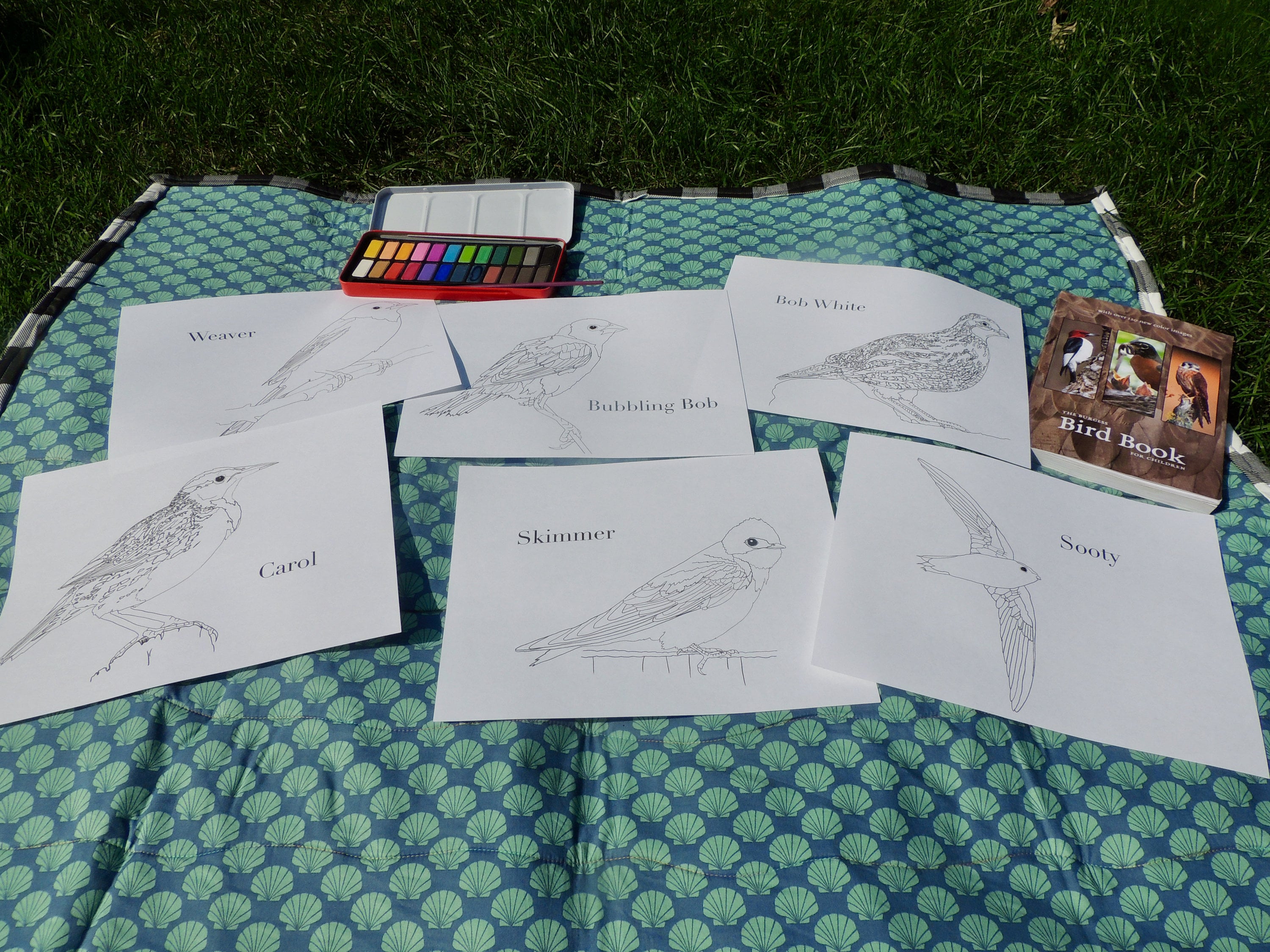 Burgess Bird Book Coloring Pages Chapters 13-24 - Etsy