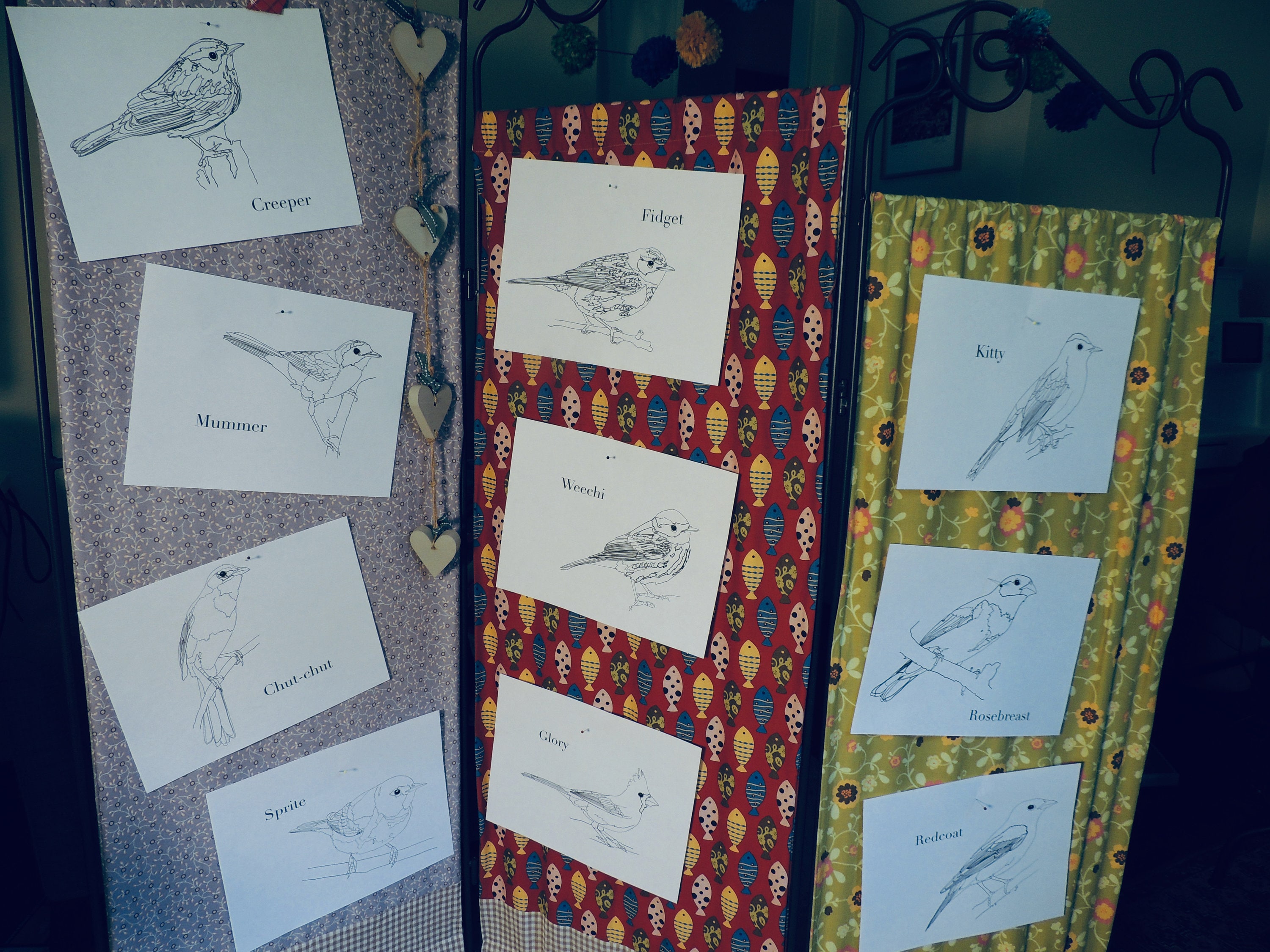 Burgess Bird Book Coloring Pages Chapters 2536 Etsy