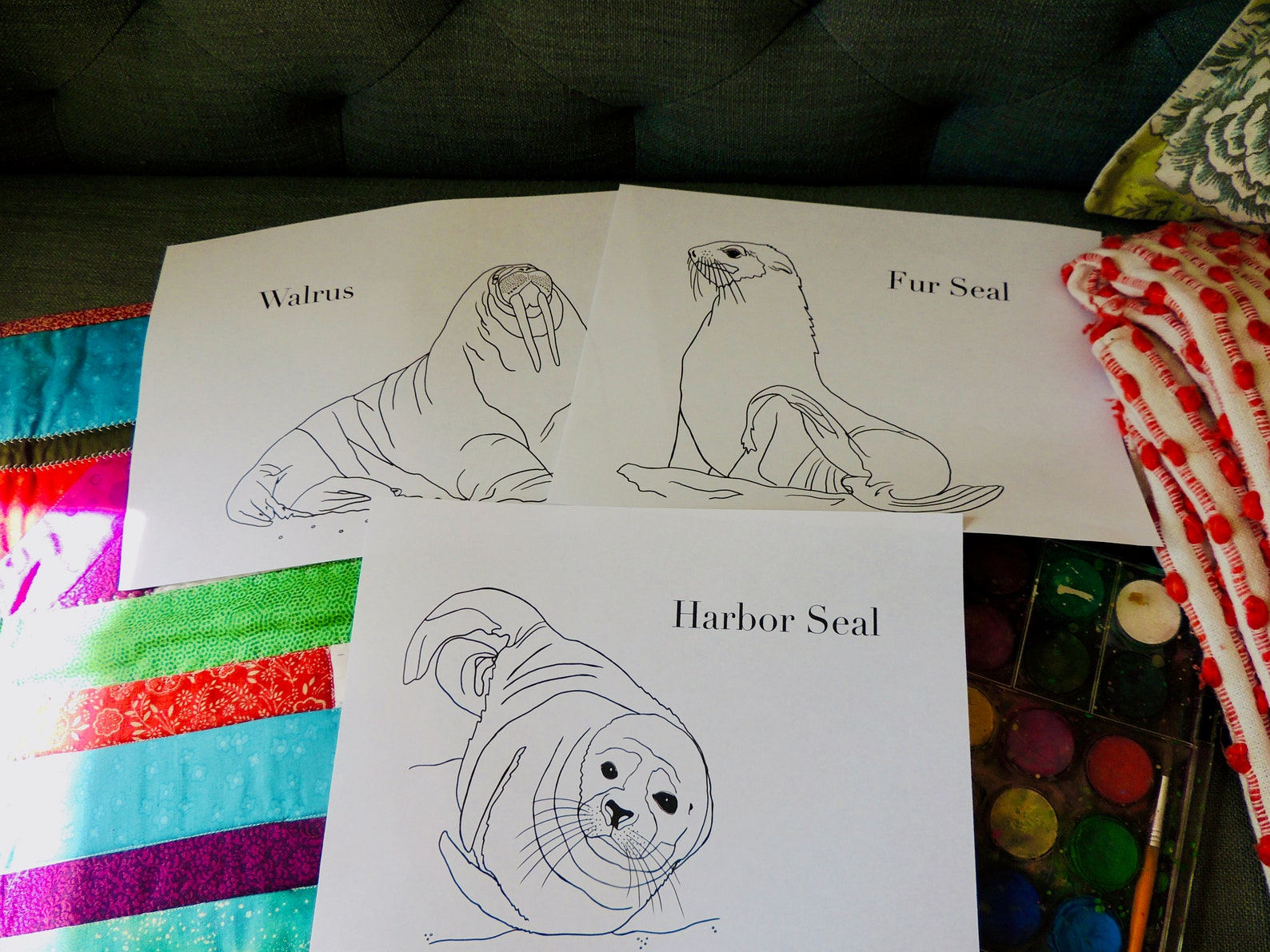 Burgess Animal Book for Children Coloring Pages Chapters 3740 Etsy