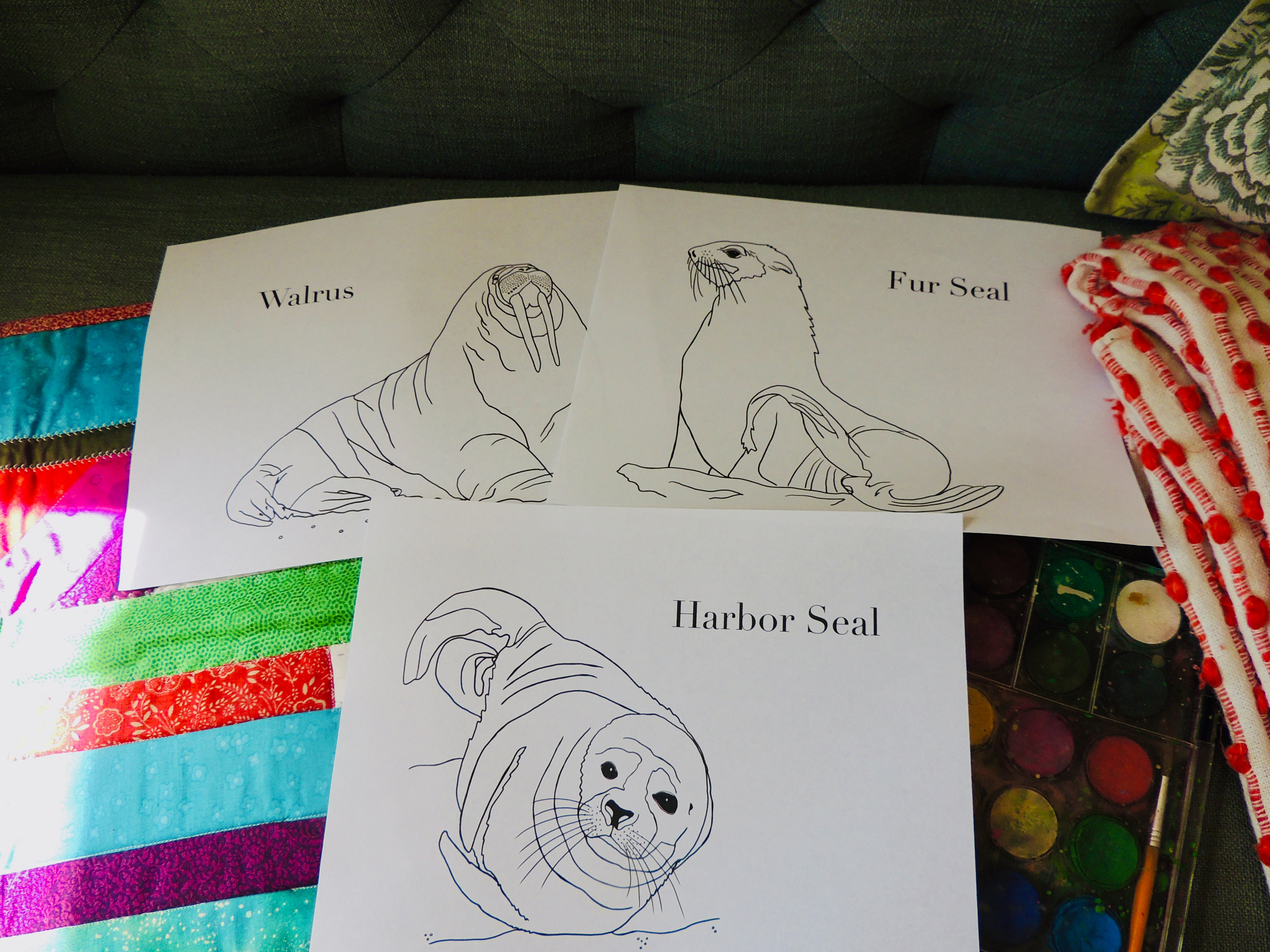 Burgess Animal Book for Children Coloring Pages Chapters 3740 Etsy