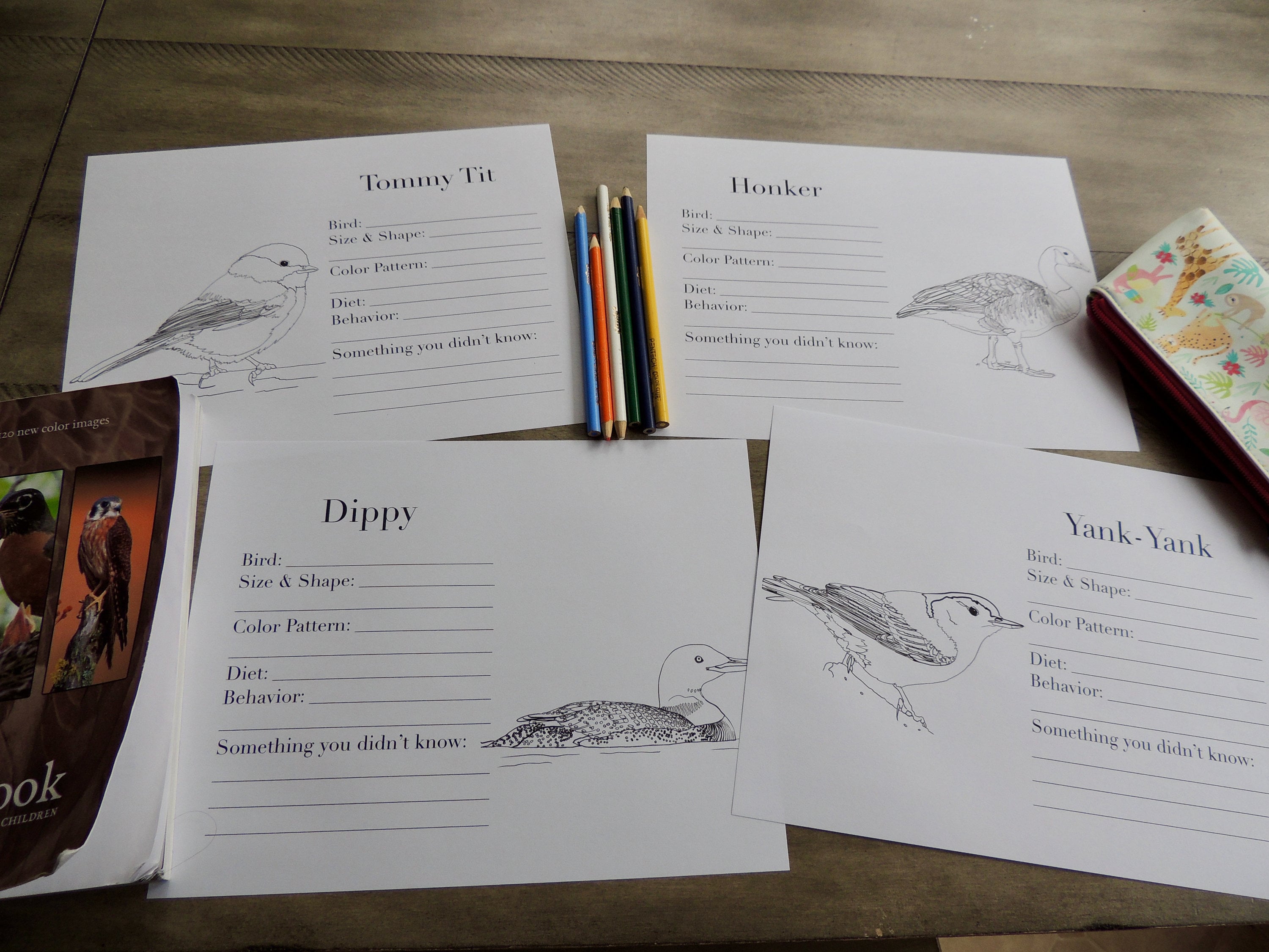 Burgess Bird Book Coloring Pages Ch 37-45 - Etsy