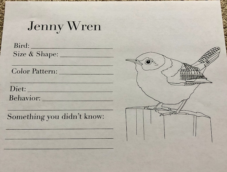 Burgess Bird Book Coloring Pages Chapters 1-12 - Etsy