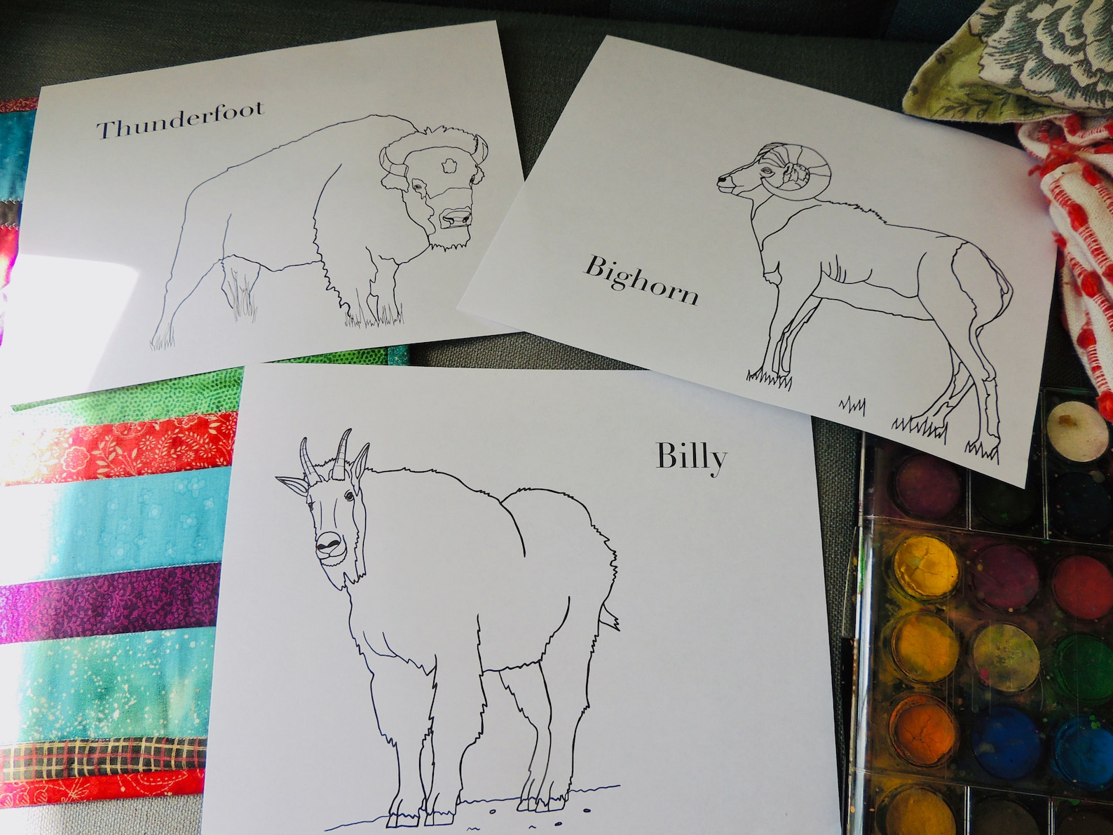 Burgess Animal Book for Children Coloring Pages Chapters 3740 Etsy