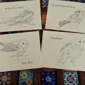Burgess Bird Book Coloring Pages Chapters 13-24 - Etsy