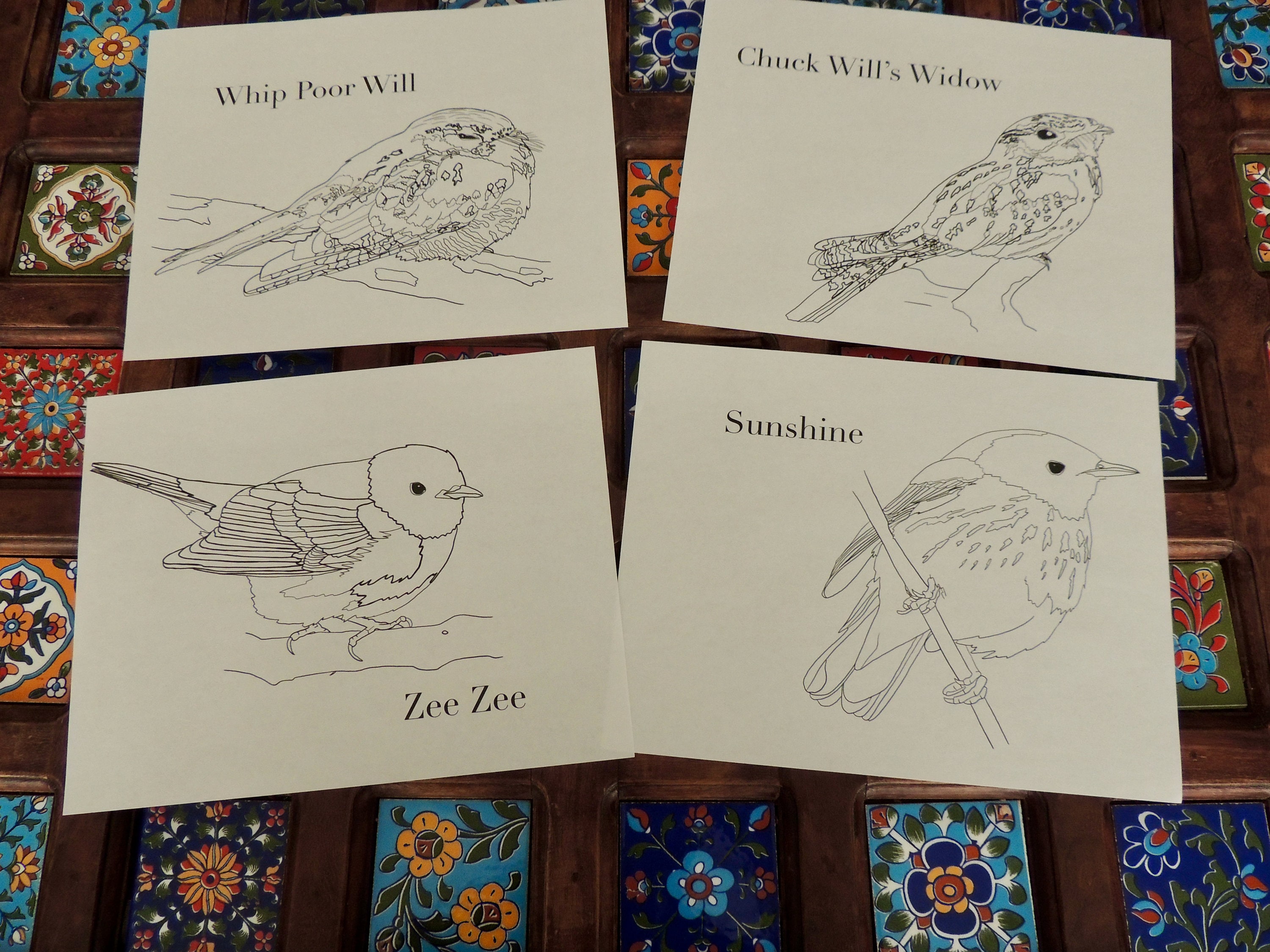 Burgess Bird Book Coloring Pages Chapters 13-24 - Etsy