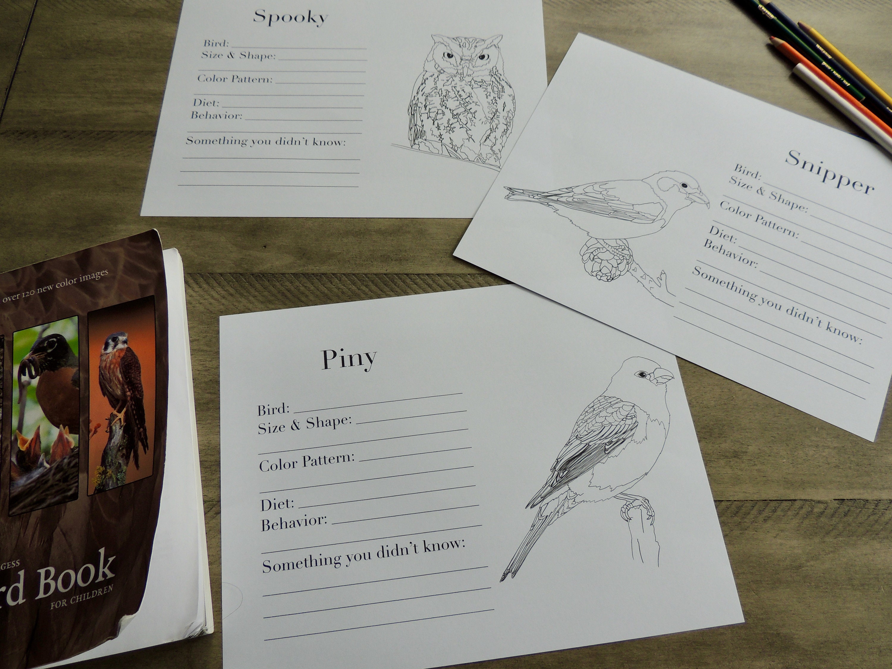 Burgess Bird Book Coloring Pages Ch 37-45 - Etsy