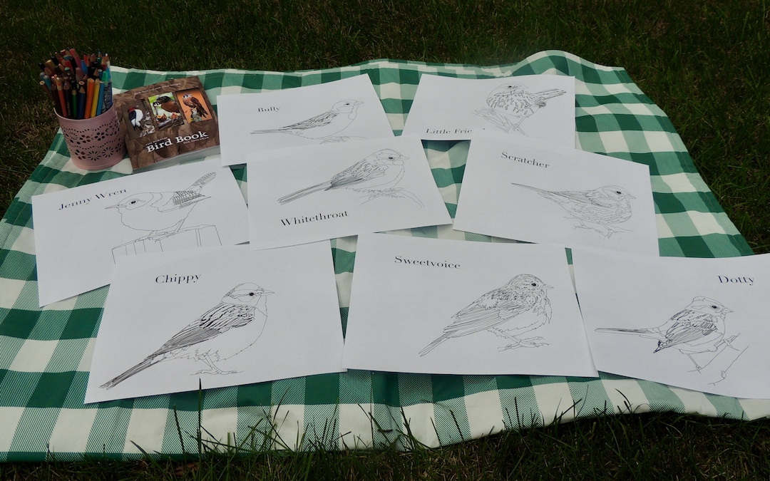 Burgess Bird Book Coloring Pages Chapters 112 Etsy