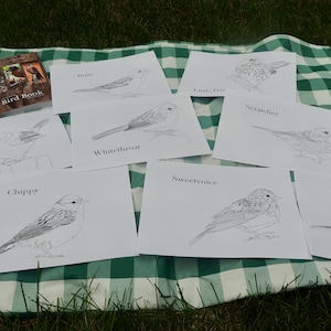 Livre de coloriage Burgess Bird, chapitres 1-12